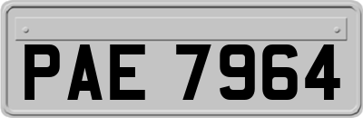 PAE7964