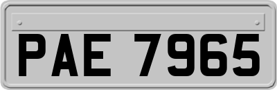 PAE7965