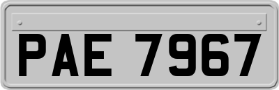 PAE7967
