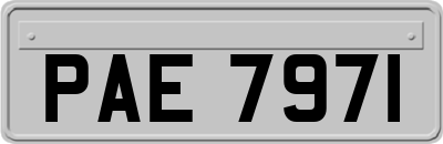 PAE7971