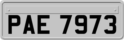 PAE7973