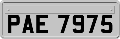 PAE7975