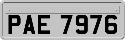 PAE7976