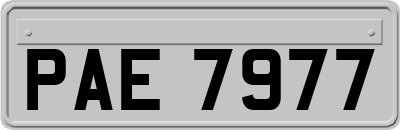 PAE7977