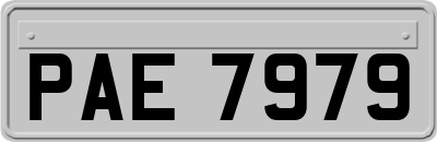 PAE7979