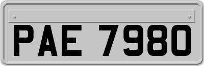 PAE7980