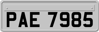 PAE7985