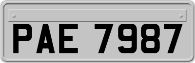 PAE7987