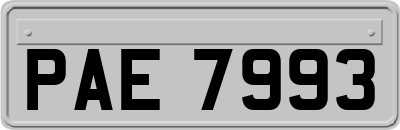 PAE7993