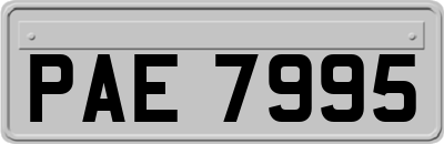 PAE7995
