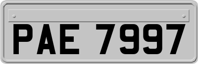PAE7997