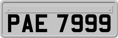 PAE7999