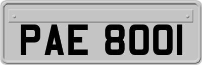 PAE8001