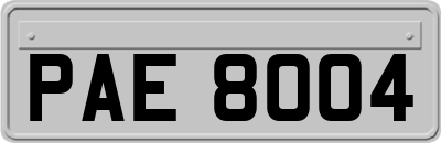 PAE8004