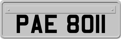PAE8011