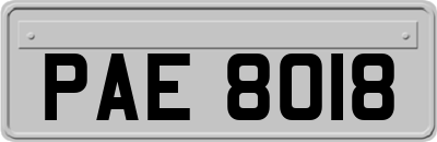 PAE8018
