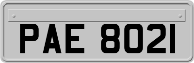 PAE8021