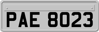 PAE8023