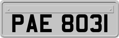 PAE8031