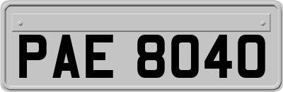 PAE8040