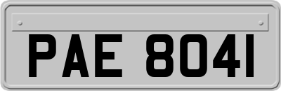 PAE8041