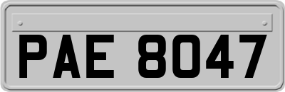 PAE8047