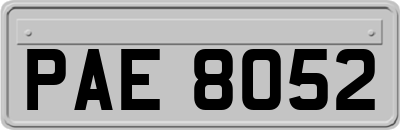 PAE8052