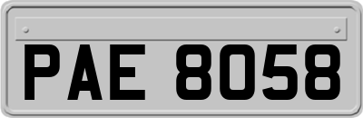 PAE8058