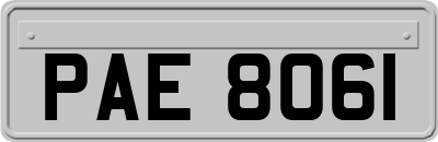 PAE8061