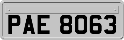 PAE8063