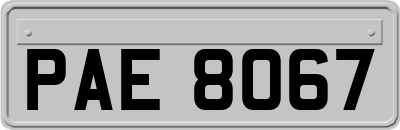 PAE8067