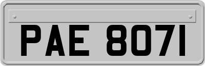 PAE8071