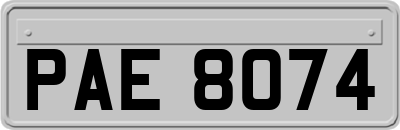 PAE8074