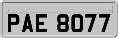 PAE8077