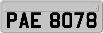 PAE8078