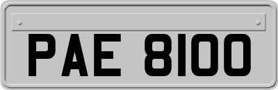 PAE8100