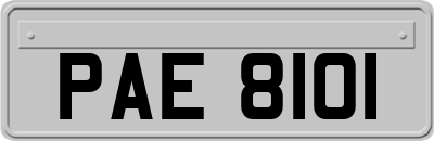 PAE8101
