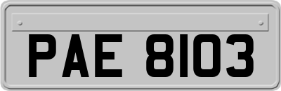 PAE8103