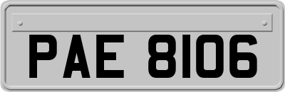 PAE8106