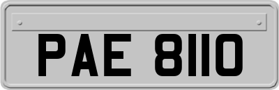 PAE8110