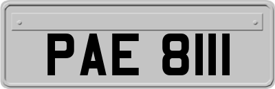 PAE8111