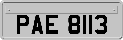 PAE8113