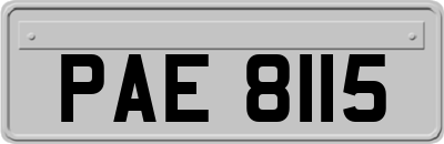 PAE8115