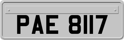 PAE8117