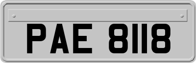 PAE8118