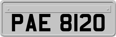 PAE8120