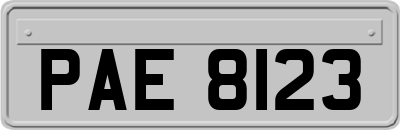 PAE8123