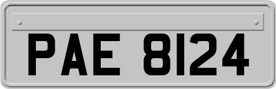 PAE8124