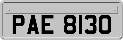 PAE8130