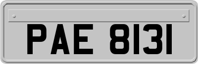 PAE8131